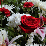 memoriam uitvaartbegeleiding zaanstreek