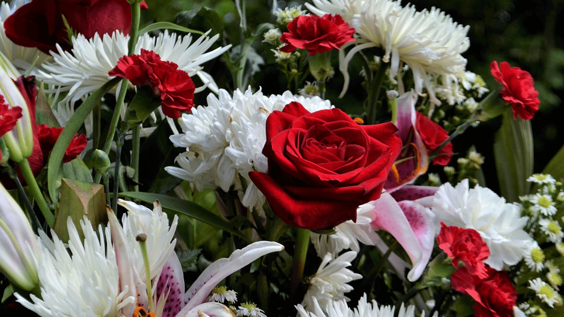 memoriam uitvaartbegeleiding zaanstreek